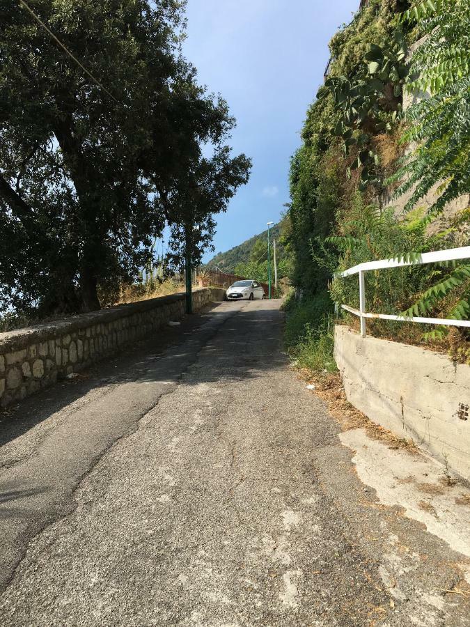 דירות צ'טארה Ruderi מראה חיצוני תמונה