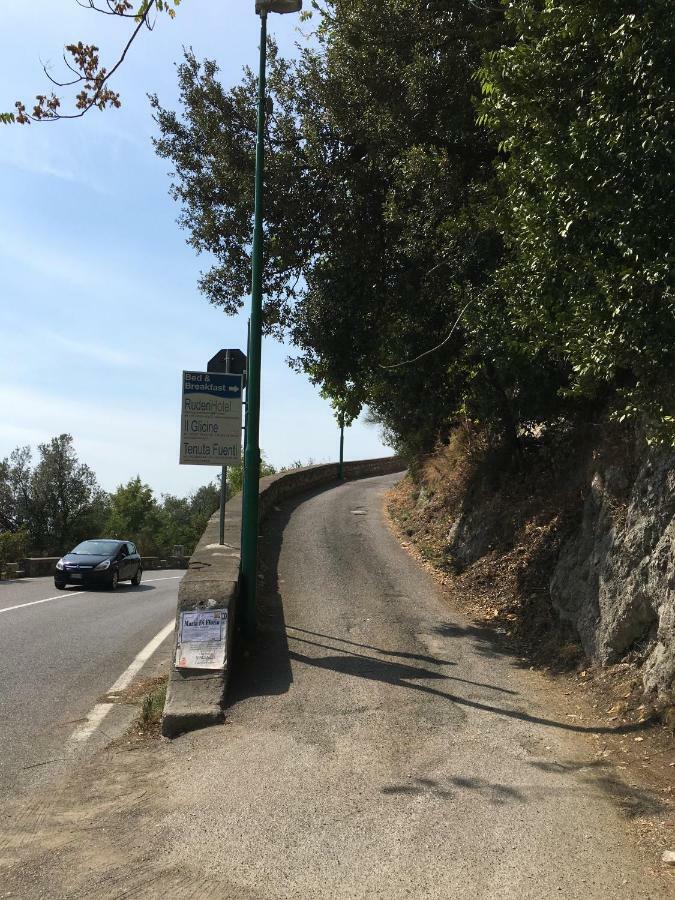 דירות צ'טארה Ruderi מראה חיצוני תמונה